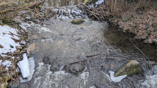 NaturaTrail: Durch die Schluchten und Kehlen der Märkischen Schweiz
