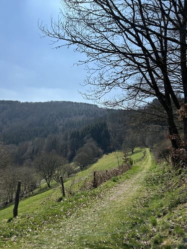 Dedenborn und Rur Panorama Rundweg