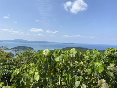 Amazon.co.jp: [Naturehike] 公式ショップ バックパック 登山