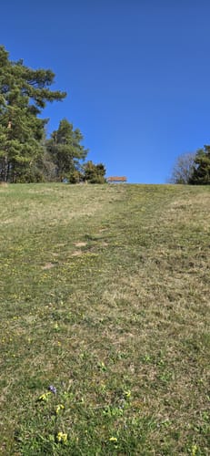 Frankenhäuser Karst P2 (Premiumwanderweg)