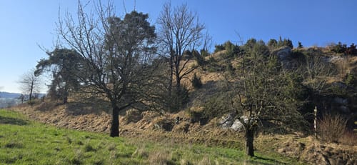 Frankenhäuser Karst P2 (Premiumwanderweg)