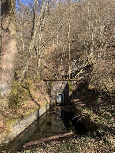 Waldschluchtenweg (Traumpfad)