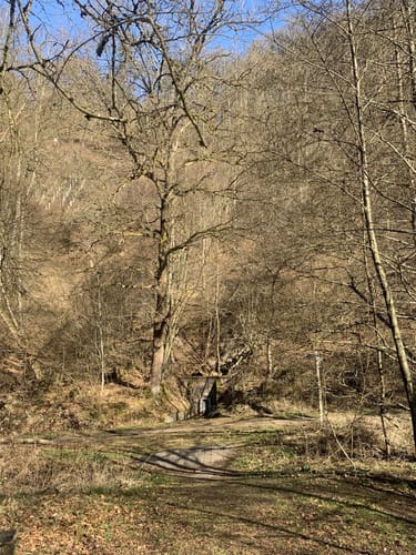 Waldschluchtenweg (Traumpfad)