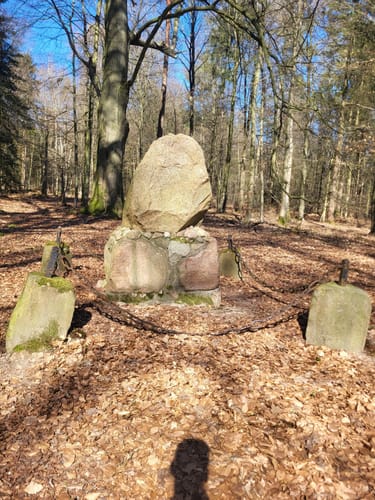 Durchs Syker Friedeholz