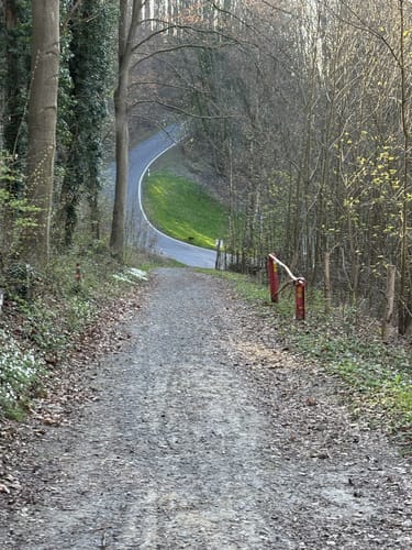 Tannenberg und Märchenteich ab Seeheim-Jugenheim
