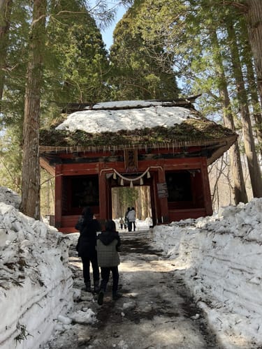 Photos of 戸隠神社 (奥社) - Nagano, Japan | AllTrails