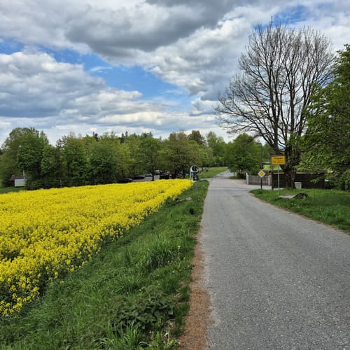 Rundweg: Reiseneggerfelsen - Saubadfelsen