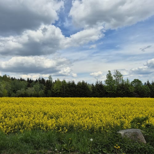 Rundweg: Reiseneggerfelsen - Saubadfelsen