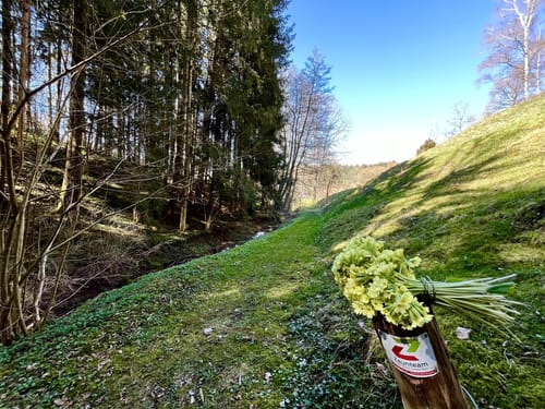 Rotenzimmern - Königsrain Runde