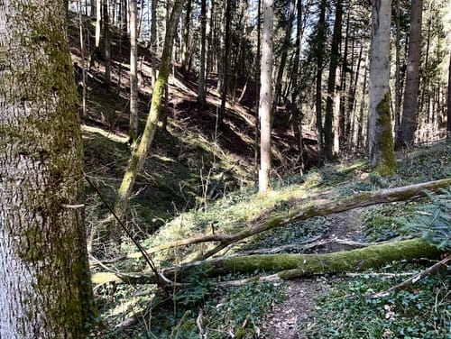 Rotenzimmern - Königsrain Runde