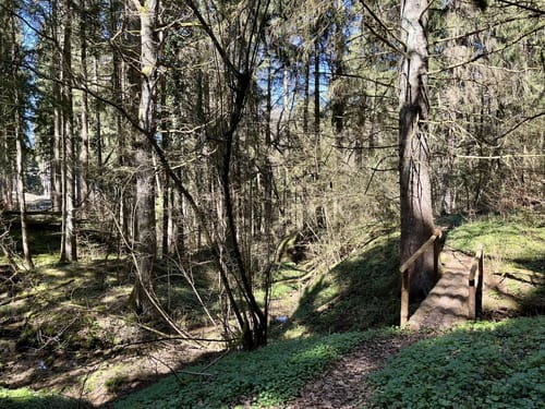 Rotenzimmern - Königsrain Runde