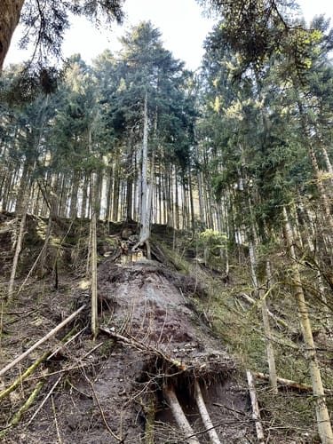 Rotenzimmern - Königsrain Runde
