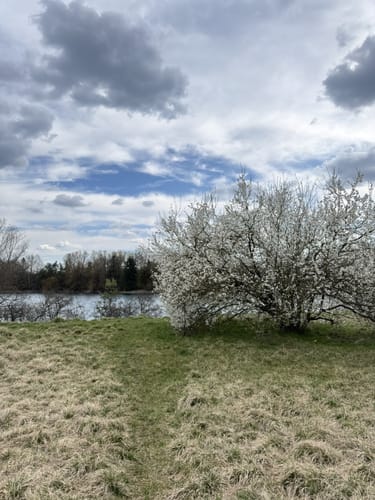 Garchinger Seenrunde