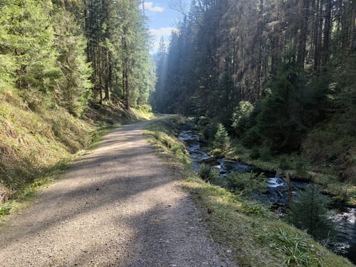 Höhenwanderung: Plankopf - Schliffkopf - Schweinkopf