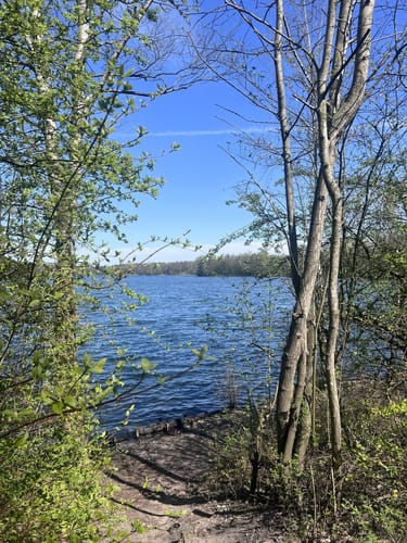 Durch die Kirchhellener Heide zum Heidesee