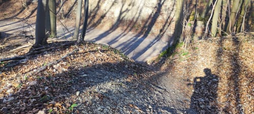 Wieterturm - Breiteberg Rundwanderung