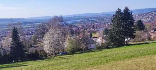 Wieterturm - Breiteberg Rundwanderung