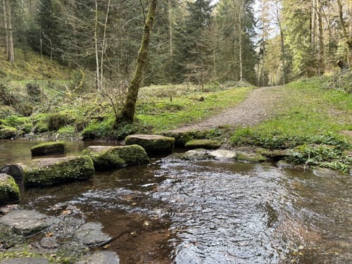 Vom Kloster Hirsau durch das Schweinbachtal