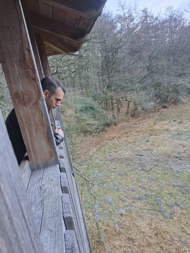 Kleine Runde im Hasbruch