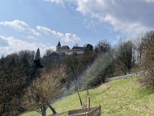 VR-Bank-Lauf „Rund um die Veste Coburg“