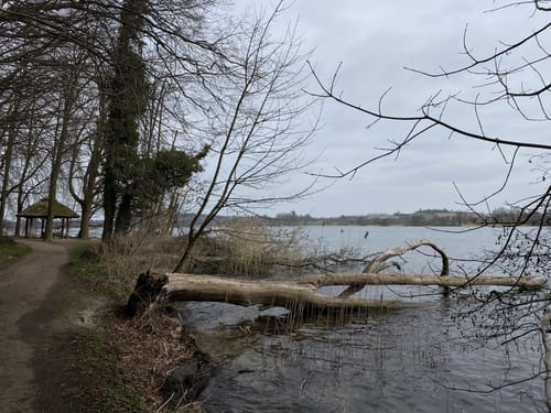 Großer Segeberger See