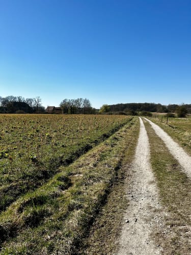 Großer Rundweg Geisterholz