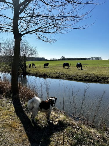 Großer Rundweg Geisterholz