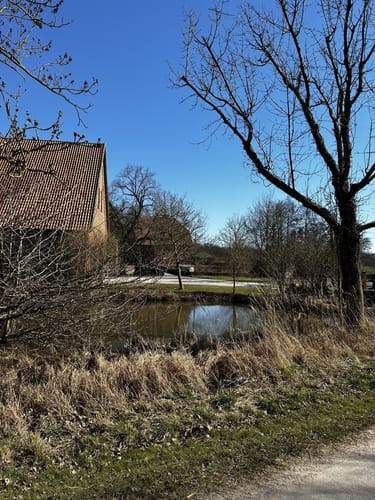 Großer Rundweg Geisterholz