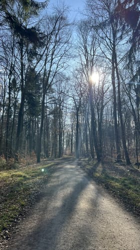 Wanderung im Loccumer Klosterwald: Weg 4