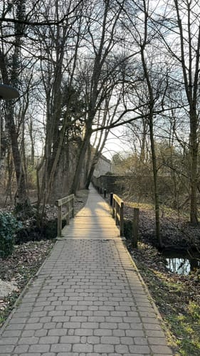 Wanderung im Loccumer Klosterwald: Weg 4