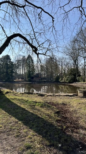 Wanderung im Loccumer Klosterwald: Weg 4