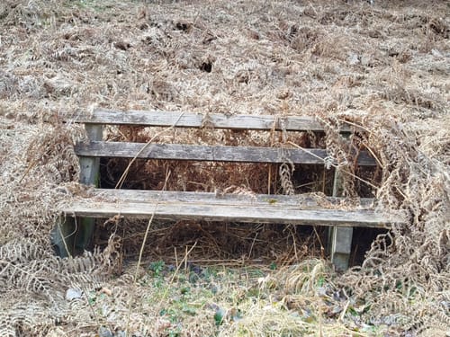 Rundwanderweg Raubach 3: Raubacher Jockelweg