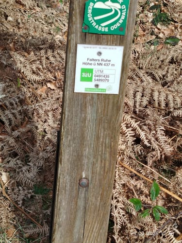 Rundwanderweg Raubach 3: Raubacher Jockelweg