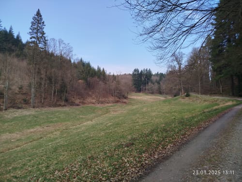 Rundwanderweg Raubach 3: Raubacher Jockelweg