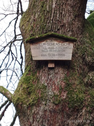 Rundwanderweg Raubach 3: Raubacher Jockelweg