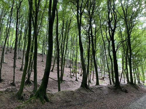 Holperdorper (Teutoschleife)