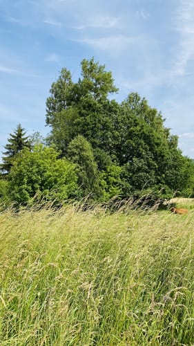 LandZeitTour (Traumschleife)