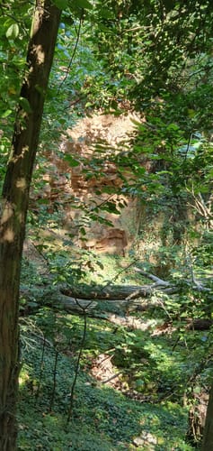 Hiwweltour Aulheimer Tal