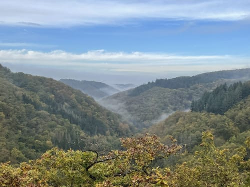 Saar-Hunsrück-Steig Etappe 24: Oppenhausen - Boppard