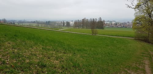 Rund um Lauben unter der Bruck und über den Mariaberg