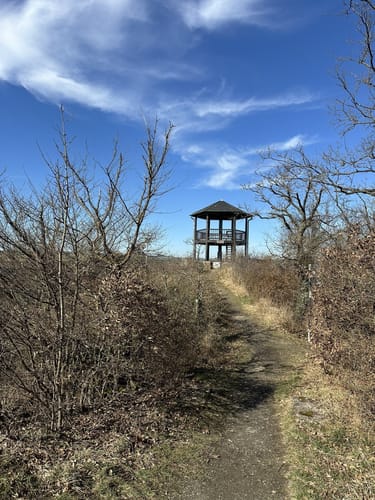 Niederfeller Schweiz (Premiumspazierwanderweg)