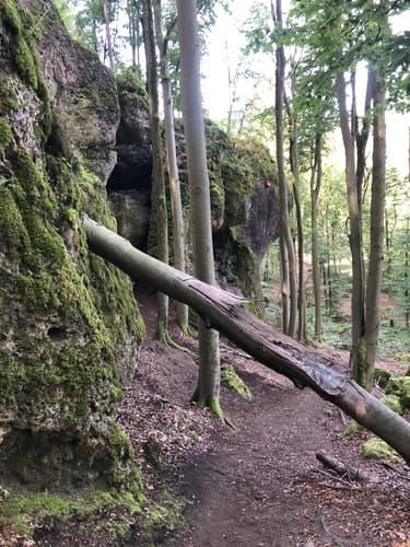 Höhenglück und Norissteig