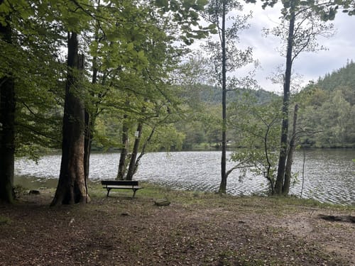 Erlenbach - Burg Berwartstein - Seehofweiher