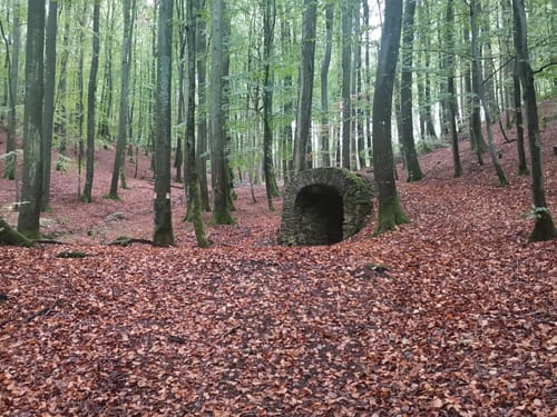 Hochbermeler (Traumpfad)
