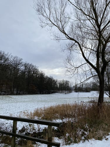 Durch den Sindelfinger Stadtwald