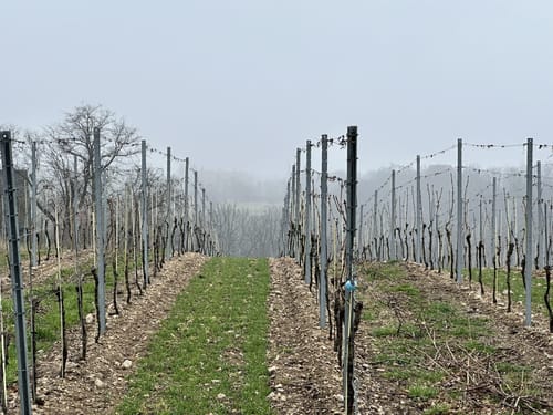 Durch das Spaargebirge