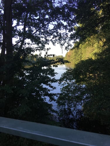Um Nettebruch und Breyeller See