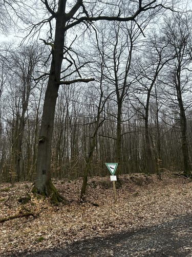 Kleine Runde im Stadtwald Neheim/Lunerwald