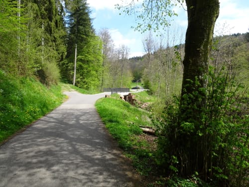 Neckargerach Rundweg (NG3)