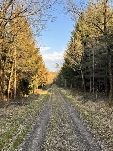 Petershausen nach Jetzendorf